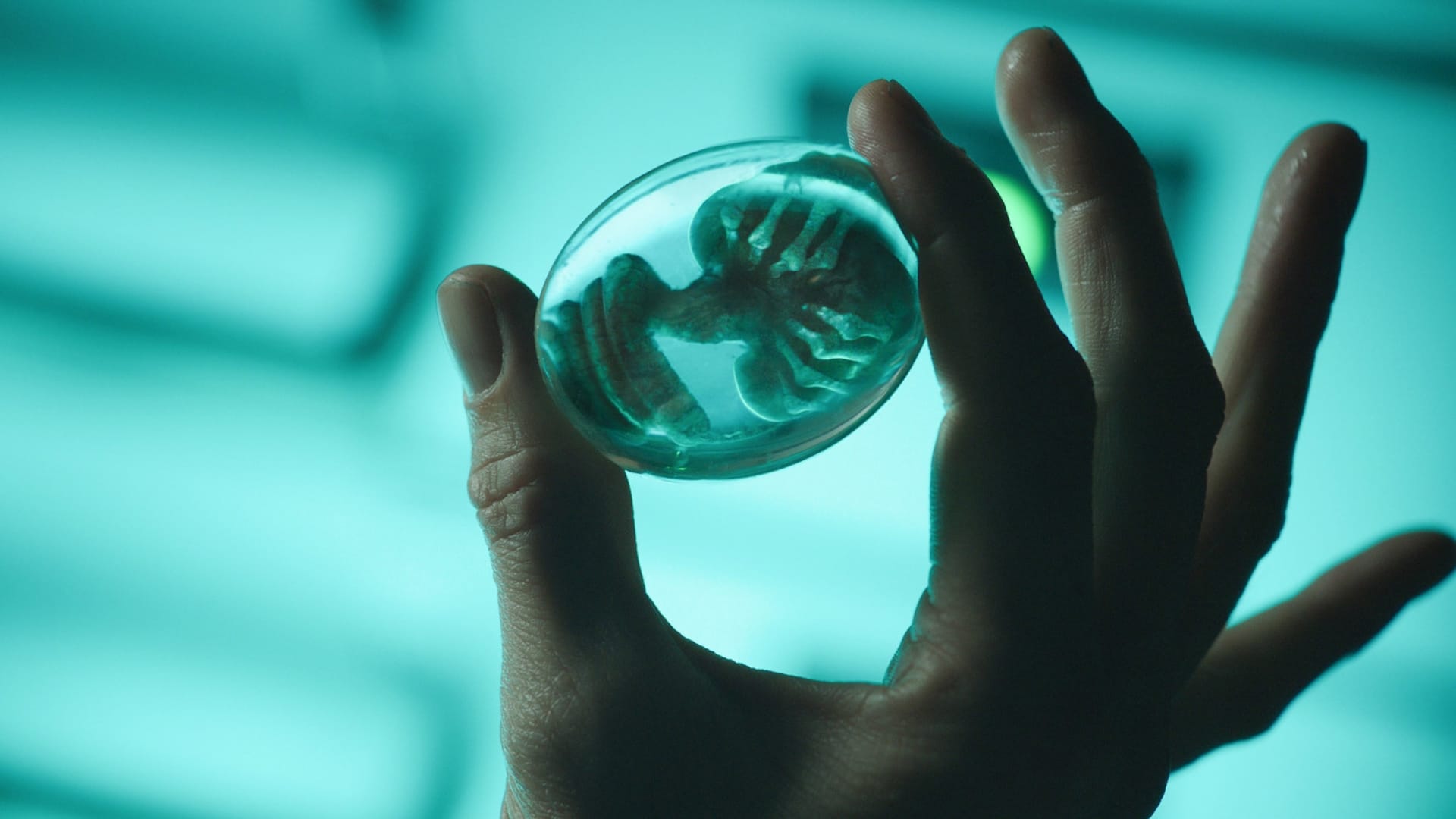 Alien Covenant -elokuvan kuvakaappaus. Alien: Earth -sarja saapuu Disneylle.