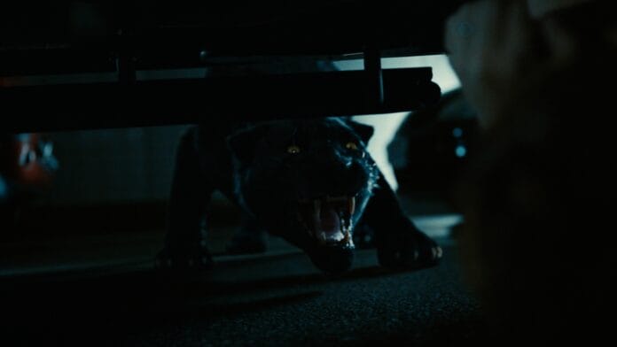 Alice in Borderlandin kuvakaappaus