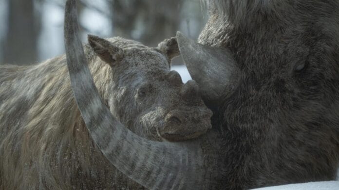 Prehistoric Planet: Ice Age -sarjan still-kuva