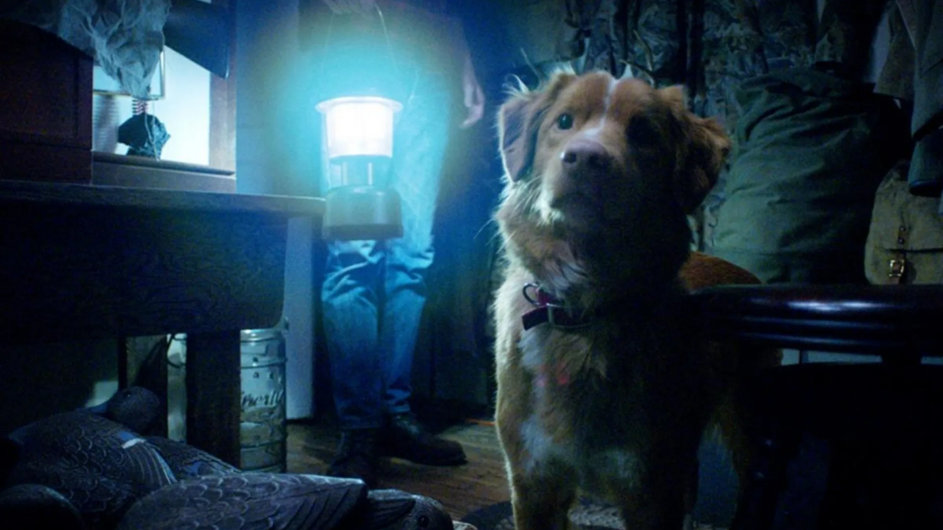 Good Boy -elokuvan kuvakaappaus