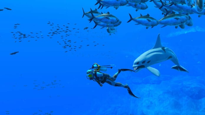Nintendo Switch: Endless Ocean Luminous (2024) Nintendo Switchin toukokuun uudet pelit – ensimmäisenä julkaisuun Endless Ocean Luminous.