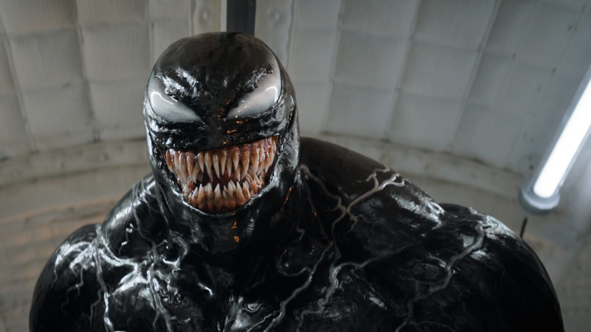 Venom katsoo kameraan. Venom: The Last Dance päättää trilogian.